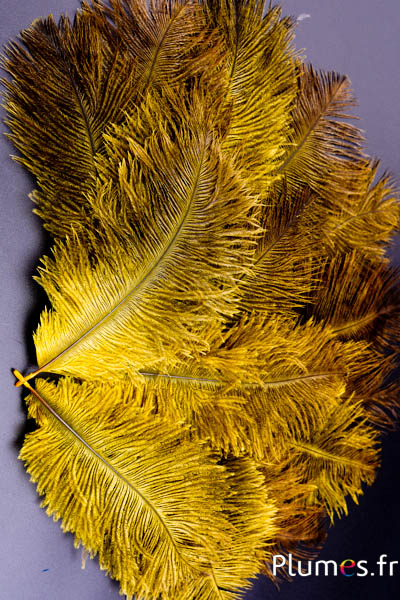 Autruche - 13-18 cm - jaune-gris